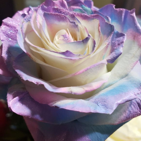 Meet your Posher, Richelle - Picture 2 of 4